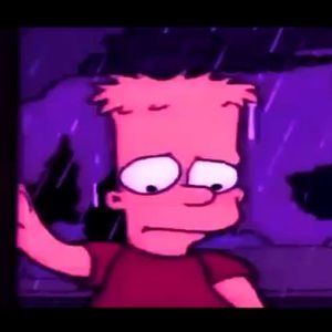 Meet your Posher, Bradley